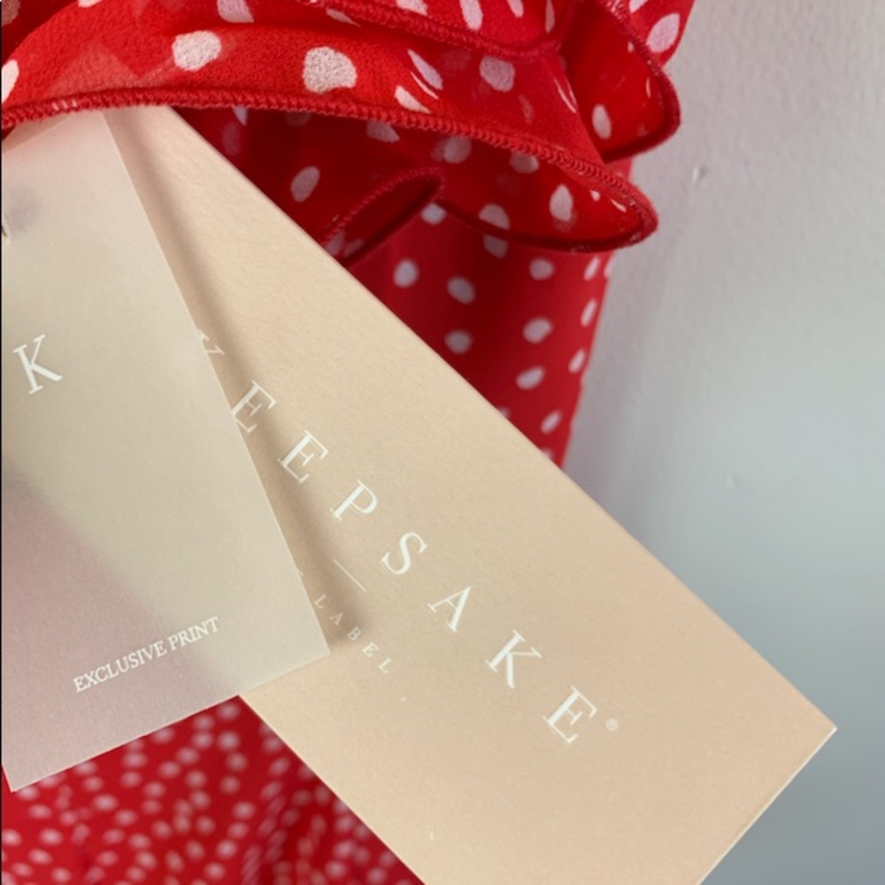 Keepsake Red Dot Ruffle Dress - Picture 7 of 10